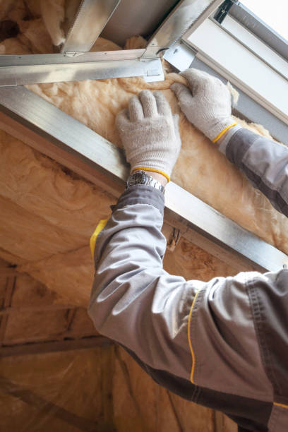 Best Blown-in Insulation in Tellico Plains, TN
