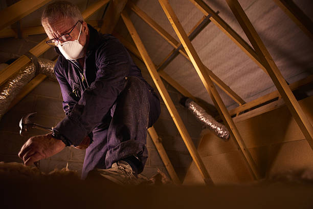 Professional Insulation Contractor in Tellico Plains, TN